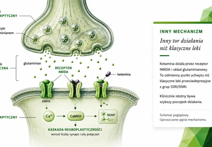 Schemat działania ketaminy na receptor NMDA, pokazujący jej odmienny mechanizm w porównaniu do klasycznych leków przeciwdepresyjnych.