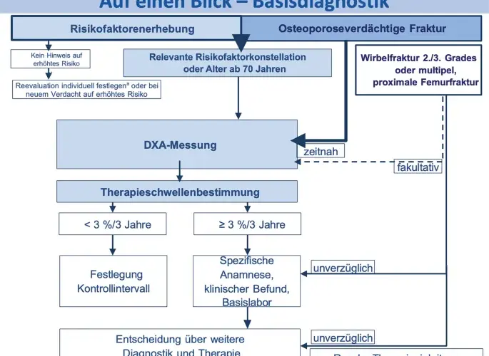 Die entscheidenden Schritte zur Osteoporose Diagnostik verstehen