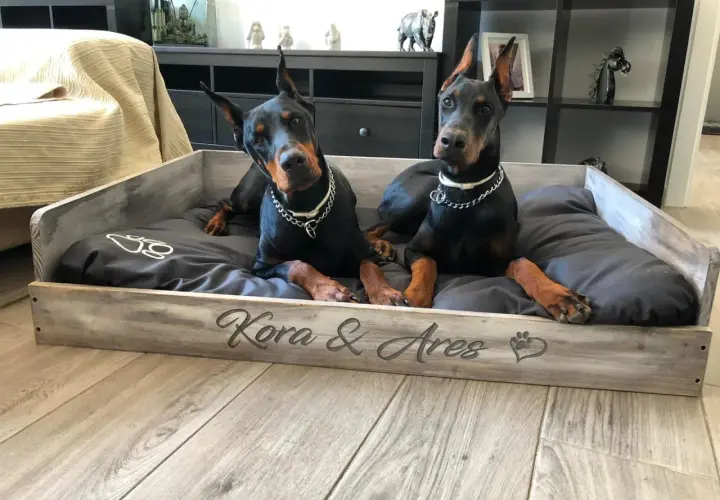 Dos Dóberman descansan en una cama de madera personalizada, "Kora & Ares". Ideal para quienes buscan como hacer una cama para perros de madera.