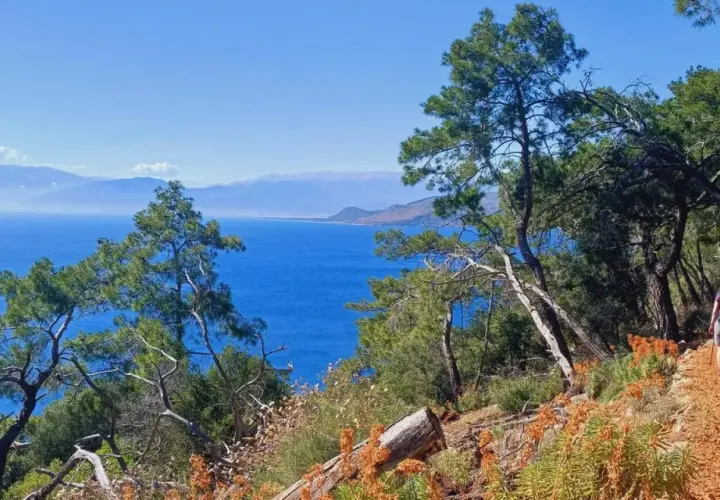 Hikers and their dog enjoy a scenic walk along a coastal trail in Turkey, with stunning blue sea views.