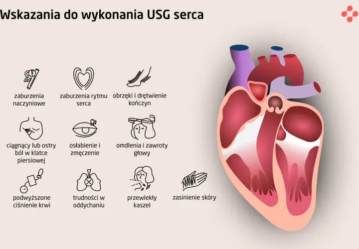 Wskazania do USG serca: zaburzenia rytmu, ból w klatce, omdlenia. Echo serca pomaga diagnozować te problemy.