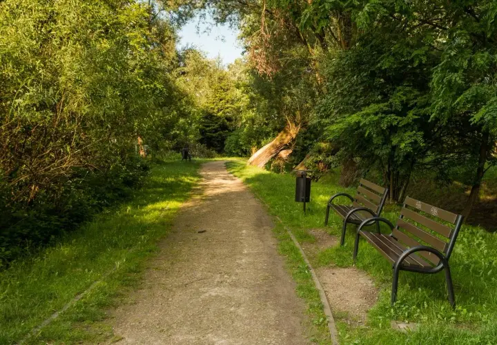 Ścieżka w parku, ławki i kosz na śmieci przy Młynówce Królewskiej.