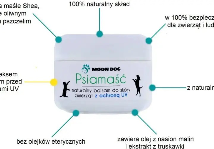 Jak prawidłowo stosować krem z filtrem dla zwierząt - poradnik ochrony pupila