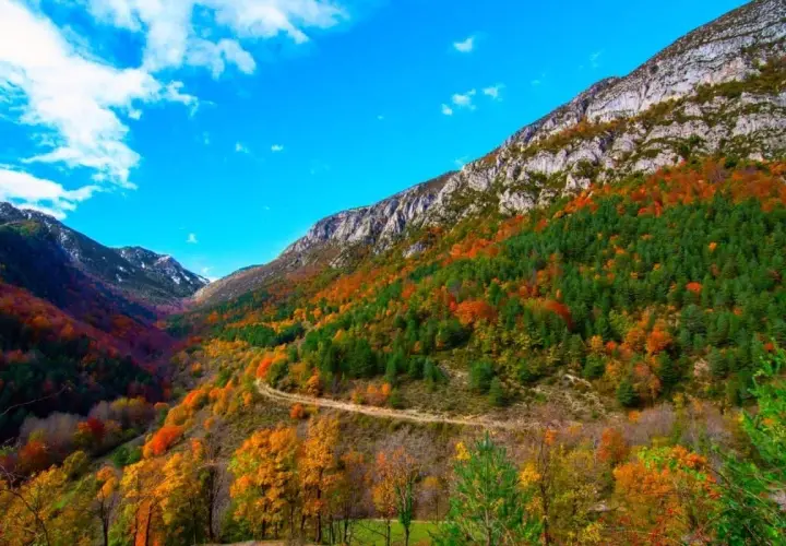 Un camino serpentea por un valle montañoso en otoño, con árboles de colores vibrantes que cubren las laderas. El cielo azul intenso y las nubes blancas completan la escena del **Cadí Moixero**.