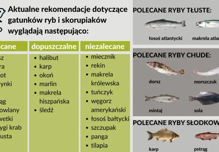 Jaka ryba dla niemowlaka? Zalecane ryby to dorsz, flądra, szprot, sardynki. Tłuste ryby to łosoś, makrela. Chude to dorsz, morszczuk, mintaj, sola.