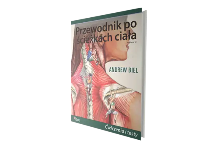 Co po medycynie? Pełny przewodnik po ścieżkach kariery i zarobkach