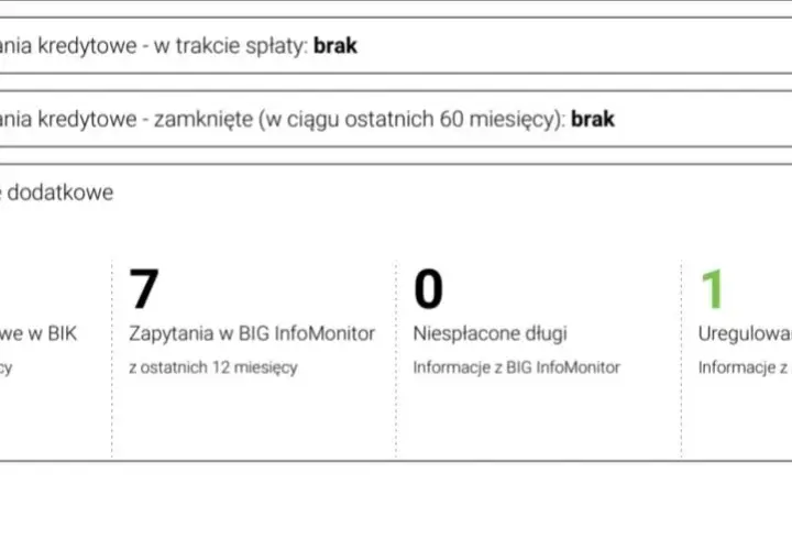 Co widzi bank w raporcie BIK i jak to wpływa na Twoją zdolność kredytową