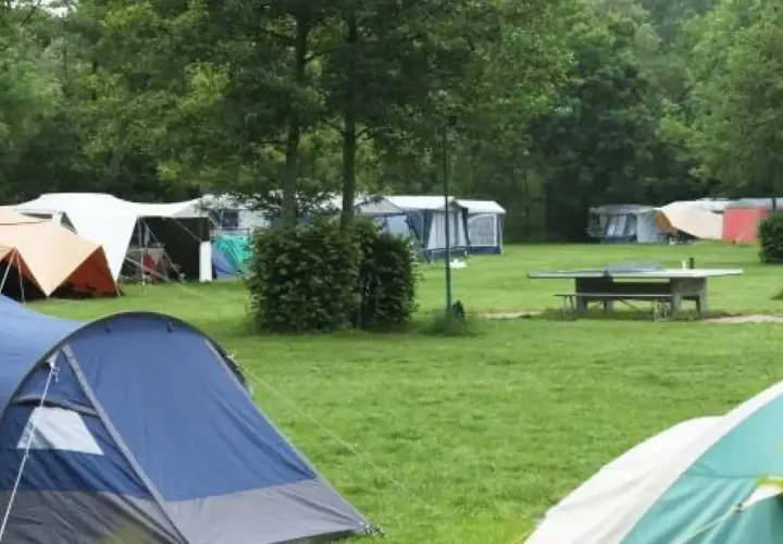Un camping verde con varias tiendas de campaña y caravanas. Un lugar ideal para disfrutar de los mejores camping de España.