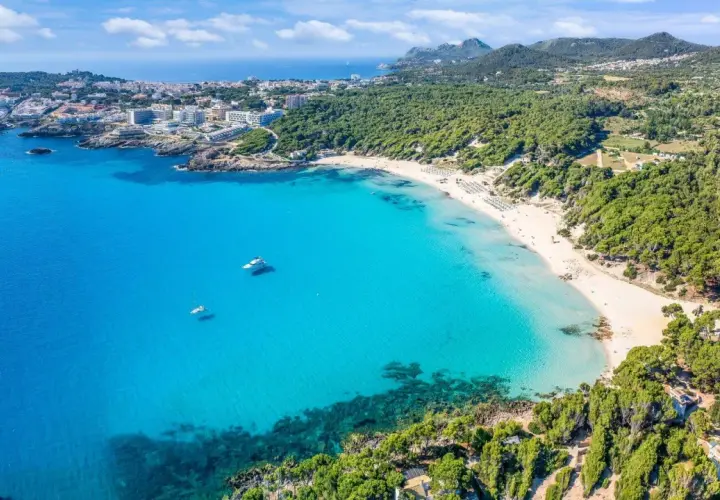Traumhafte Bucht mit türkisfarbenem Wasser, weißem Sandstrand und Pinienwäldern. Ideal für einen fernwanderweg auf Mallorca.