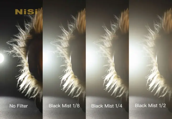 Porównanie efektów: brak filtra, filtr black mist 1/8, 1/4 i 1/2 na futrzanym obiekcie.