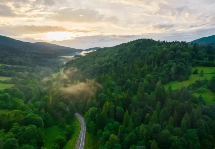 Wąska droga wijąca się przez zielone wzgórza Bieszczad. Mgła unosząca się nad lasem tworzy magiczną atmosferę, idealną do odkrywania, co warto zobaczyć w tych górach.