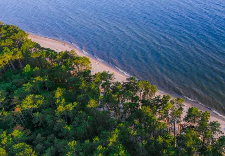 Piękna plaża i las nad Bałtykiem, idealne miejsce na wakacje w stylu naturyzm Polska.