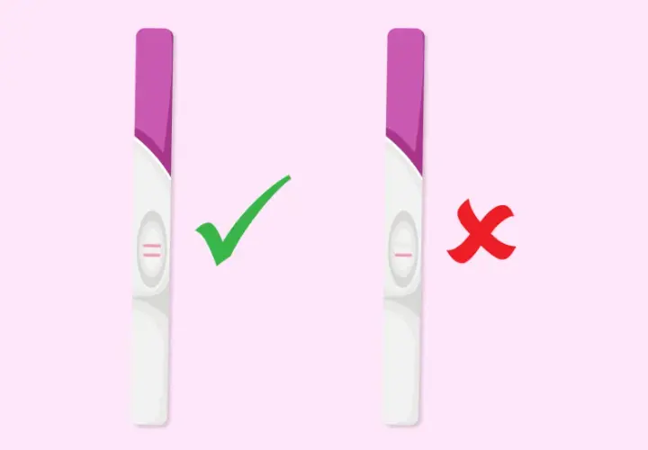 Deux tests de grossesse : un positif (deux barres roses) avec une coche verte, et un négatif (une barre rose) avec une croix rouge.