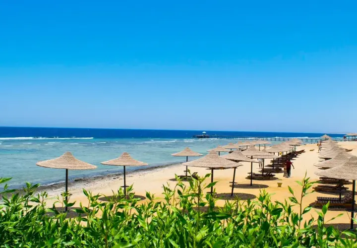 Słoneczna plaża w Marsa Alam z rzędami parasoli i leżaków. Idealne miejsce na relaks i podziwianie widoków, jedna z głównych atrakcji regionu.