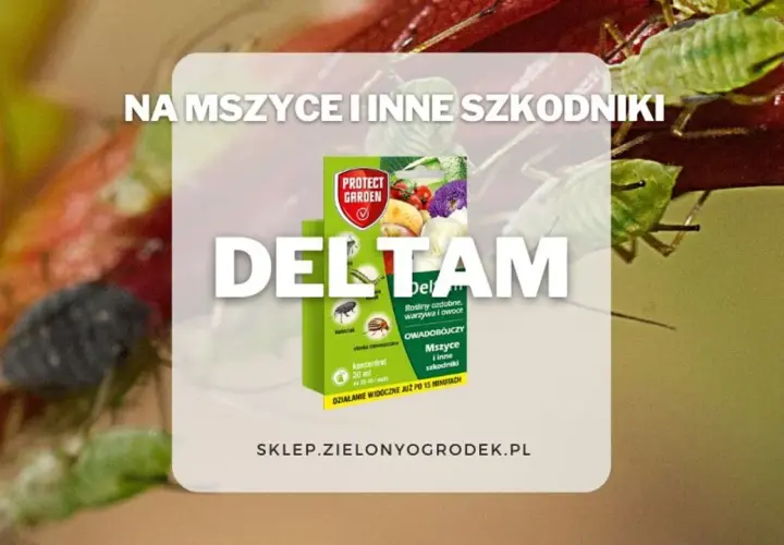 DELTAM insektycyd na mszyce i inne szkodniki. Opakowanie produktu Protect Garden z opisem działania na rośliny ozdobne, warzywa i owoce.