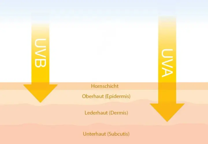 Illustration zeigt UVA- und UVB-Strahlen, die auf Hautschichten treffen.