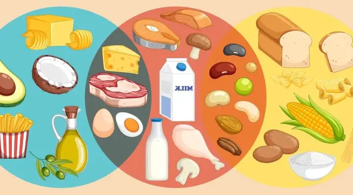 Ile kcal na obiad? Odpowiednia kaloryczność dla zdrowia i diety