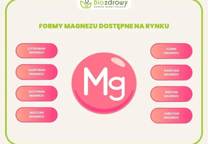 Grafika przedstawia różne formy magnezu: cytrynian, taurynian, glicynian, mleczan, tlenek, siarczan, węglan i jabłczan.
