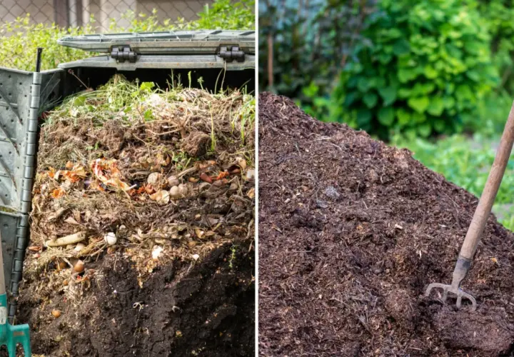 Kompostownik pełen resztek organicznych i gotowy do nawożenia ogrodu obornikiem. Obok widoczna łopata i widły.