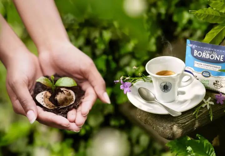 Mani che sorreggono un germoglio nato da fondi di caffè per basilico, accanto a un espresso Borbone.