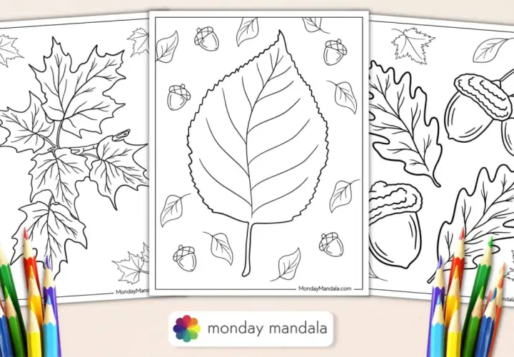 Páginas para colorear de otoño con hojas de arce, bellotas y una gran hoja central. ¡Perfecto para una actividad de hoja de otoño colorear!