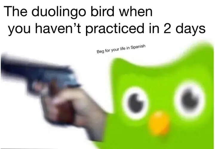 Najśmieszniejsze memy z Duolingo, które rozbawią Cię do łez!