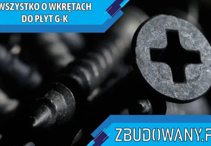 Zbliżenie na czarne wkręty do płyt g-k. Dowiedz się, jakie wkręty do płyt gk wybrać, by Twoja konstrukcja była trwała.