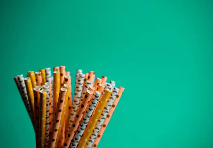 Słomki plastikowe: Dlaczego zniknęły? Przegląd eko-alternatyw