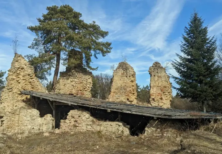 Kamienne ruiny zamku nad Jeziorem Rożnowskim, z fragmentem drewnianego dachu i sosną.