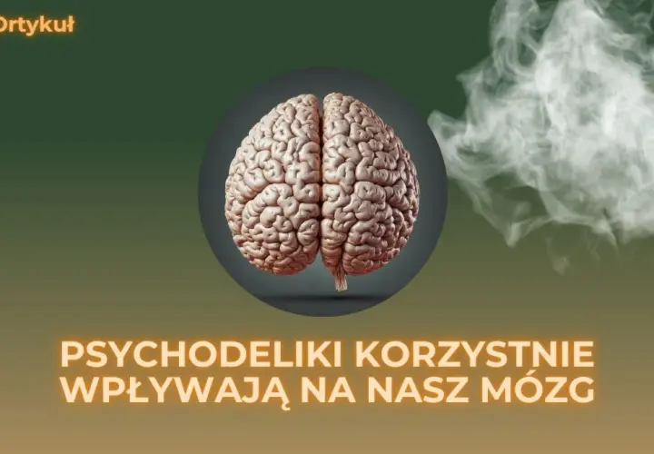 Jak psychodeliki działają na mózg? Neurobiologia w pigułce