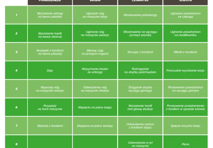 Plan treningowy siłownia dla początkujących: startuj bezpiecznie!