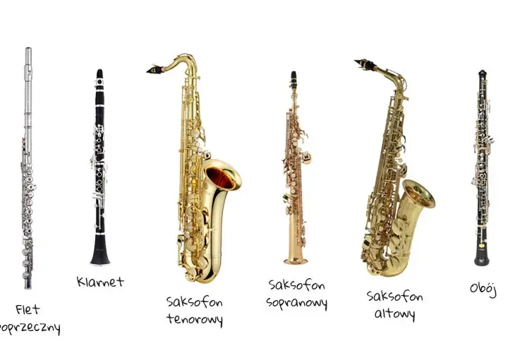 Instrumenty muzyki klasycznej: przewodnik i wybór dla początkujących