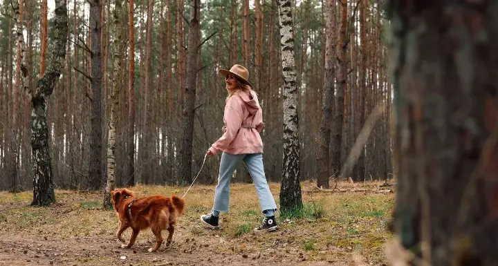 Kiedy wychodzić z psem na spacer, aby uniknąć problemów zdrowotnych?