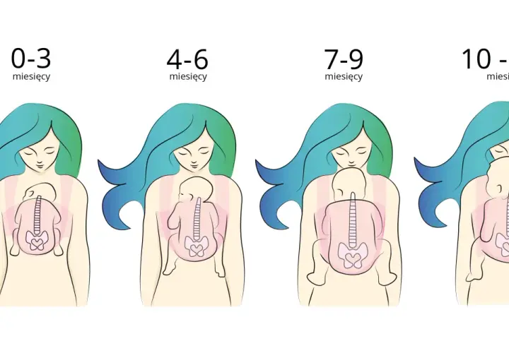 Ilustracje pokazują, jak nosić noworodka w różnym wieku: od 0-3 miesięcy do 10-12+ miesięcy.