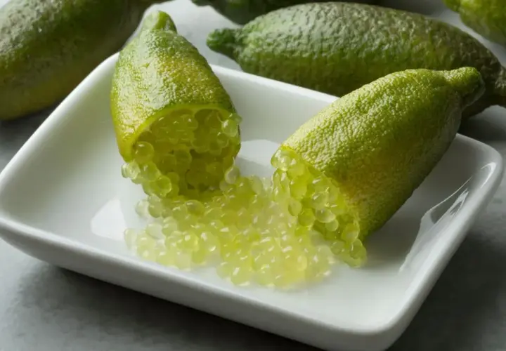 Citronnier caviar : des fruits verts allongés ouverts révèlent leurs perles juteuses sur une coupelle blanche.