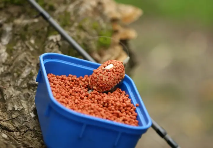 Przynęty Method Feeder: Jak wybrać i przygotować, by łowić więcej?