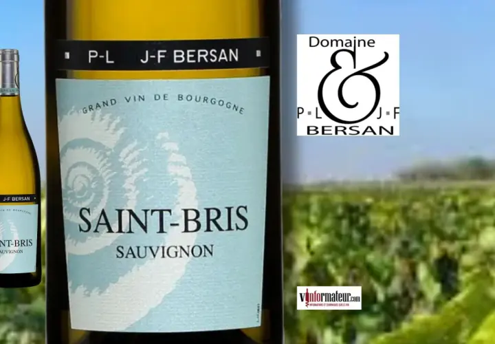 Bouteille de Saint-Bris Sauvignon, un vin de Bourgogne idéal en accompagnement. Le domaine J-F Bersan est mis en avant.