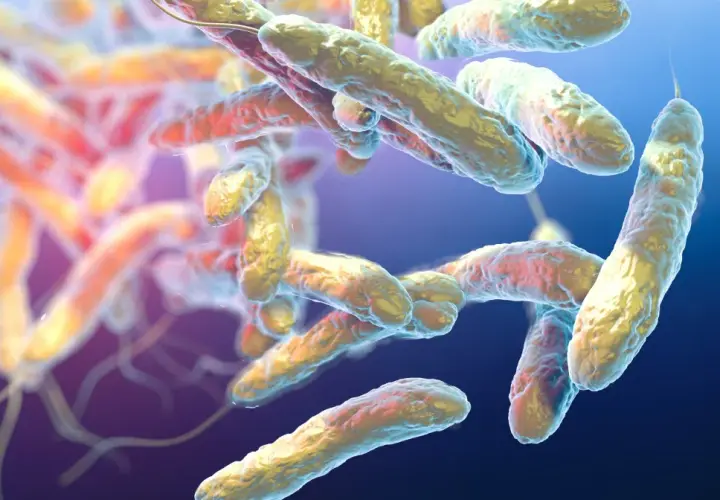 Legionella skąd się bierze i jak się jej wystrzec w codziennym życiu