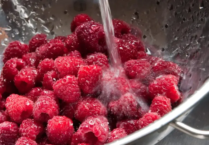Frische Himbeeren werden in einem Sieb unter fließendem Wasser gewaschen, um sie für die Lagerung vorzubereiten und **frisch zu halten**.
