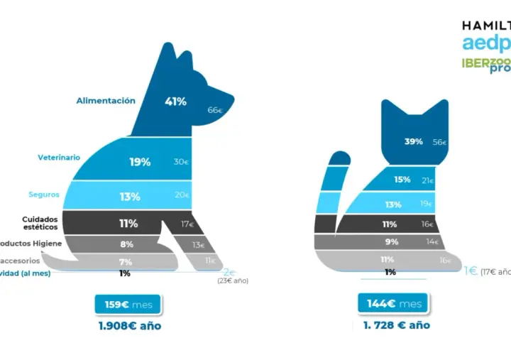 Gráfico muestra cuánto cuesta mantener un perro en España: alimentación (41%), veterinario (19%), seguros (13%), etc.