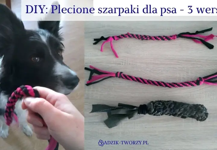 Jak zrobić szarpak dla psa DIY? Poradnik krok po kroku!