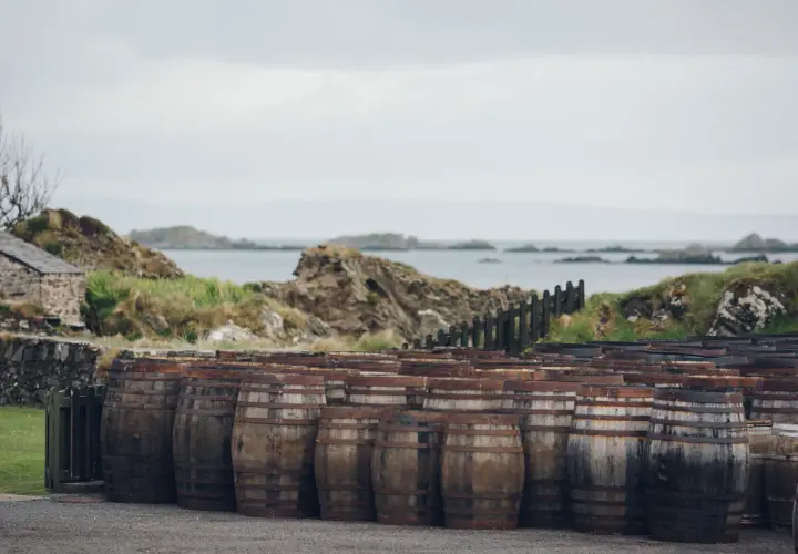 Barils de vieillissement devant une distillerie Écosse, avec la mer et des rochers en arrière-plan.