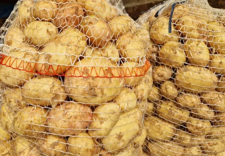 Ile ziemniaków na osobę? Precyzyjny poradnik (200-250g!)