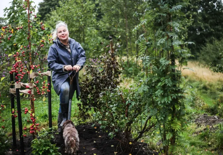 Kvinna med spade och hund i trädgården, inspiration för perennrabatt.