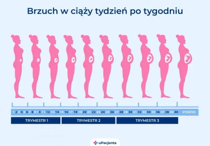 Ile trwa ciąża? Oblicz termin porodu i poznaj kluczowe etapy!