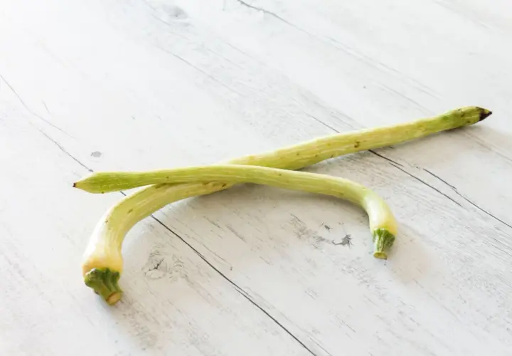 Due zucchine trombetta, lunghe e curve, giacciono su un tavolo di legno chiaro.