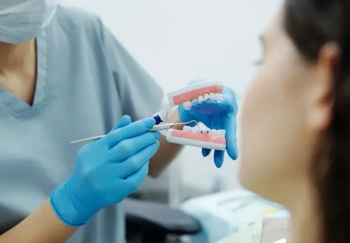 Ortodonta pokazuje pacjentowi model szczęki z aparatem i mikroimplantami ortodontycznymi, wyjaśniając, czy boli.