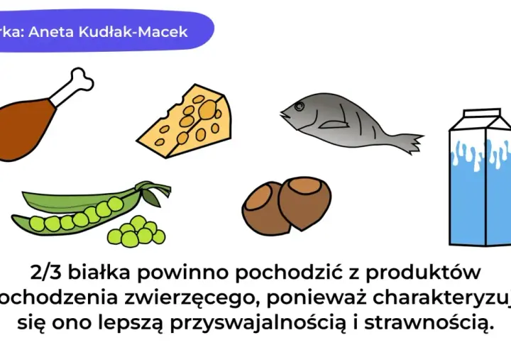 Dieta wysokobiałkowa co jeść? Kurczak, ser, ryba, groch, orzechy i mleko to przykłady produktów bogatych w białko.
