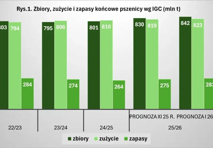 Wykres pokazuje prognozy zbiorów, zużycia i zapasów pszenicy. Czy ceny zbóż wzrosną? Zobacz dane!