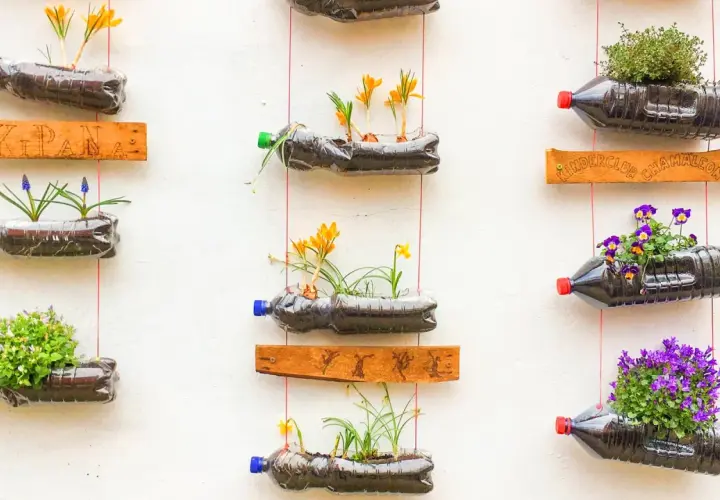 Kreative upcycling ideen: Blumen in Plastikflaschen, die an einer Wand hängen. Bunte Blüten und grüne Pflanzen sprießen aus den recycelten Behältern.